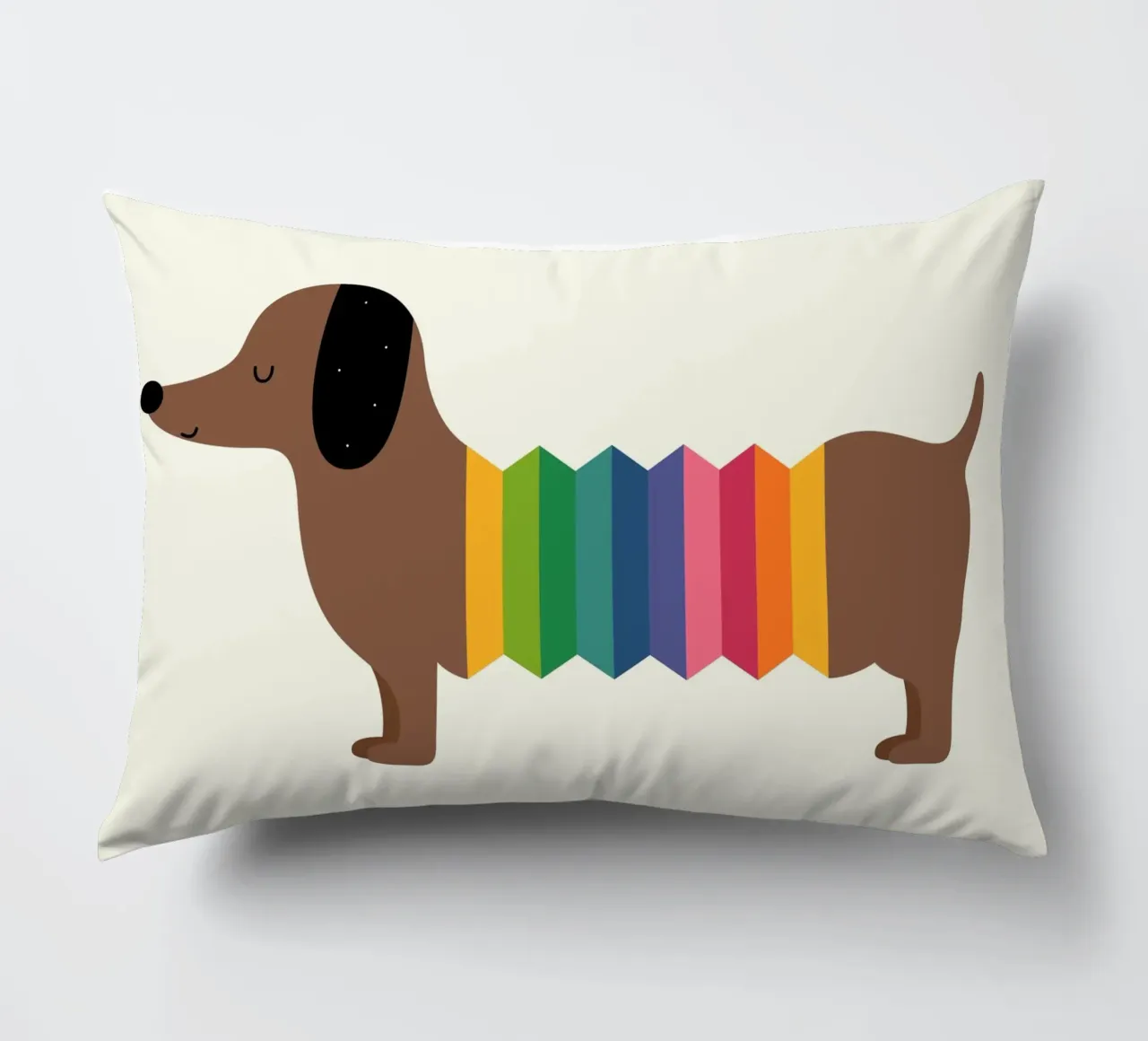 Arcobaleno Dooooog cuscino da Andy Westface