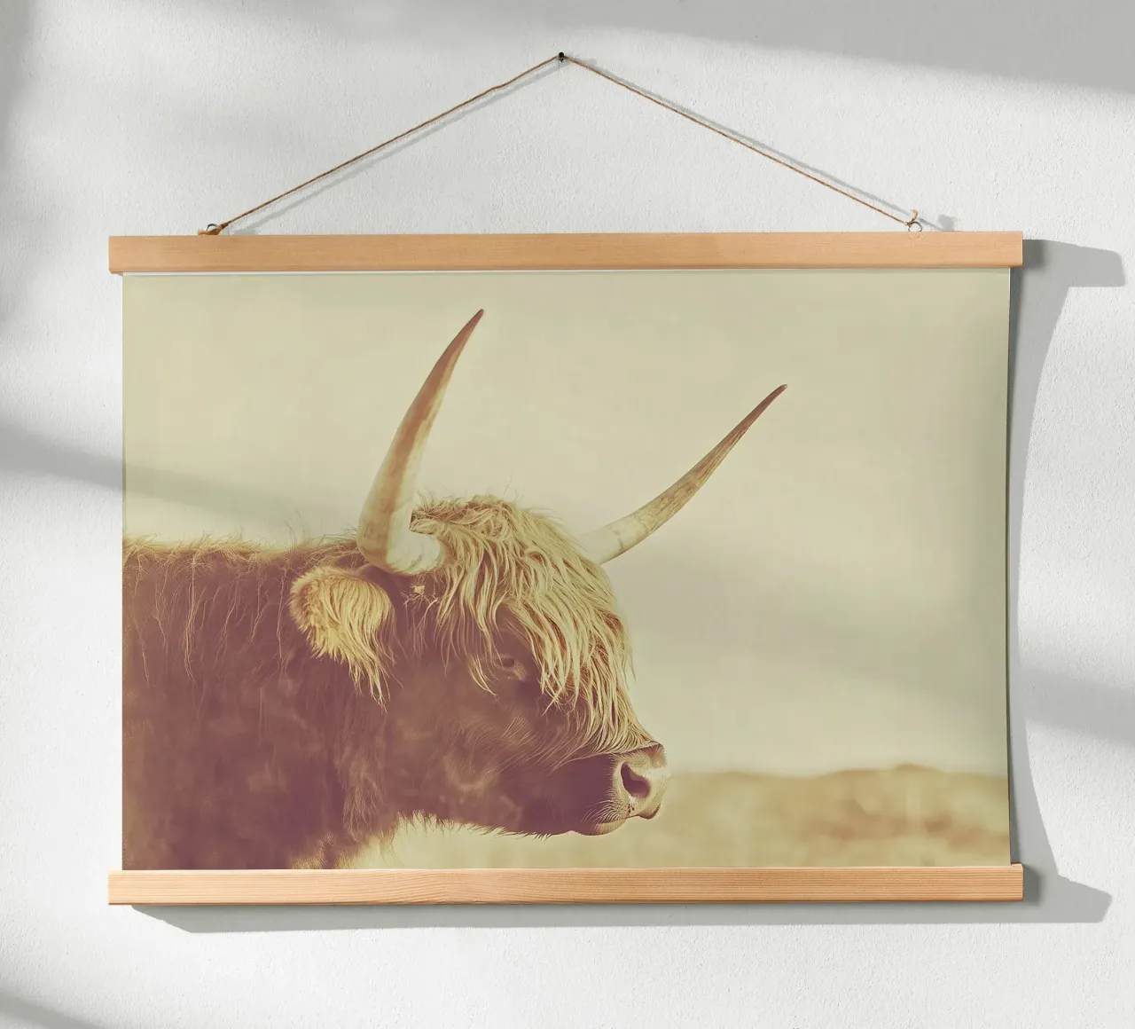 Una foto di una mucca highland di profilo, con il pelo lungo poster con telaio in alluminio da Nikis Art Studio