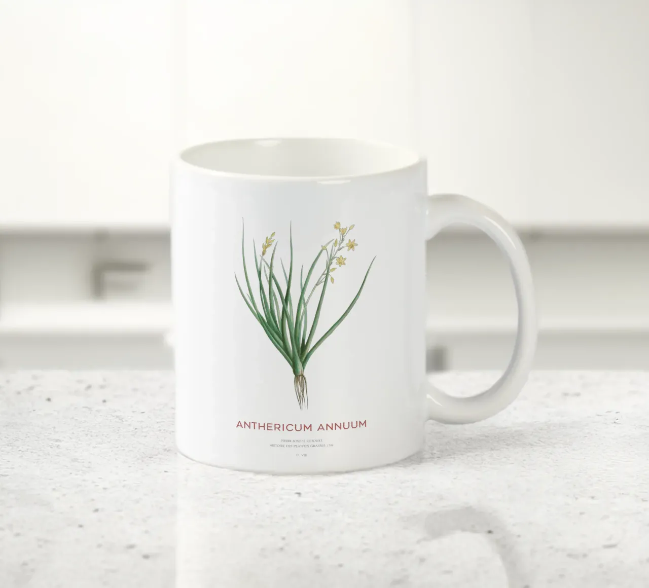 Bulbina annua o Anthericum Annuum tazza in ceramica da Vintagrafica