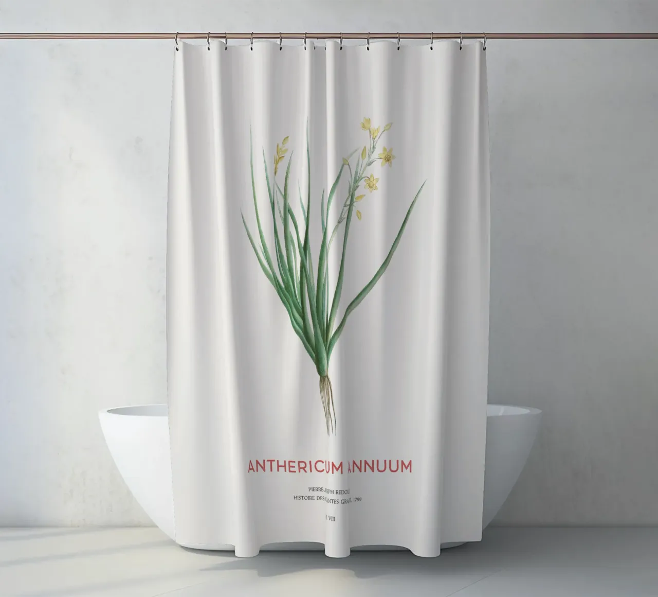 Bulbina annua o Anthericum Annuum tenda da doccia da Vintagrafica