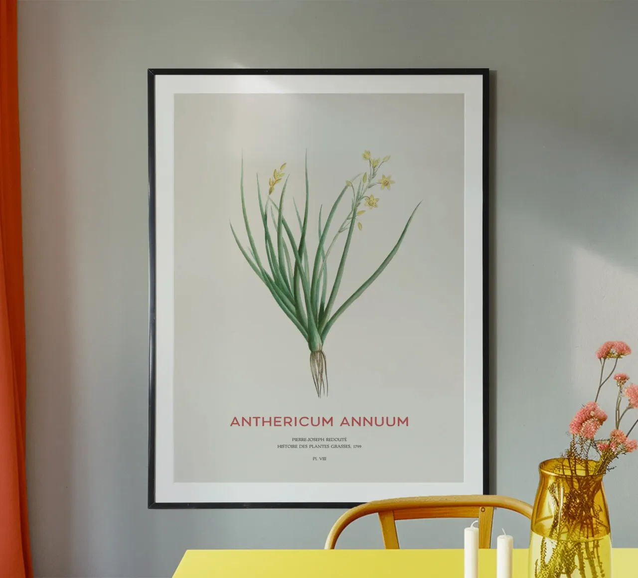 Bulbine annua or Anthericum Annuum hahnemühle by Vintagrafica