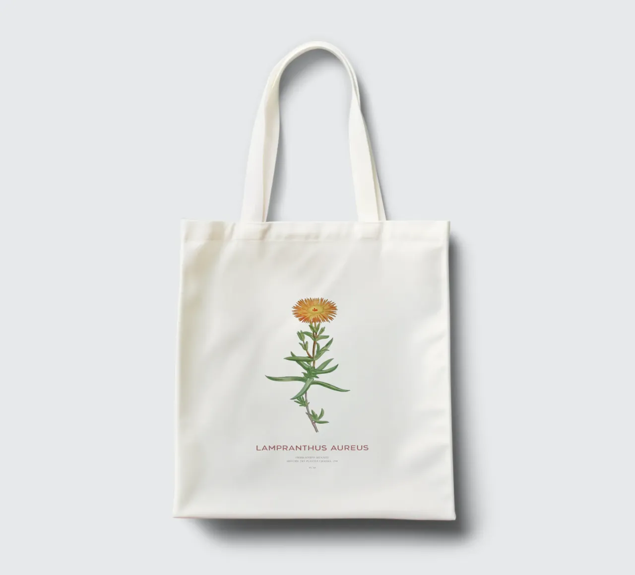 Lampranthus aureus piante grasse borsa in juta da Vintagrafica