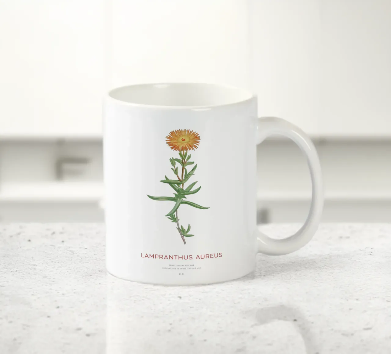 Lampranthus aureus piante grasse tazza in ceramica da Vintagrafica