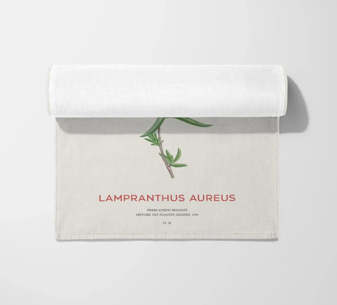 Lampranthus aureus piante grasse telo mare da Vintagrafica