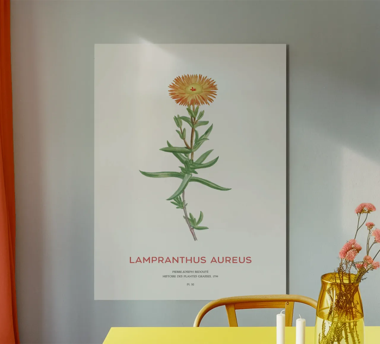Lampranthus aureus piante grasse alluminio dibond da Vintagrafica