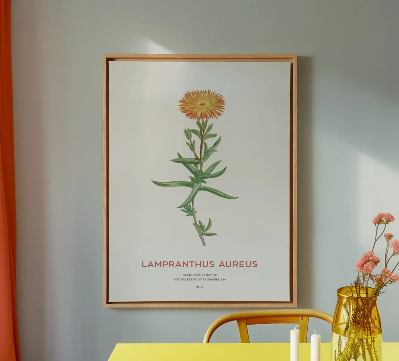 Lampranthus aureus piante grasse tela con Cornice a cassetta da Vintagrafica