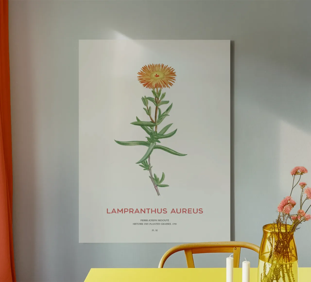 Lampranthus aureus piante grasse tela con Cornice a cassetta da Vintagrafica
