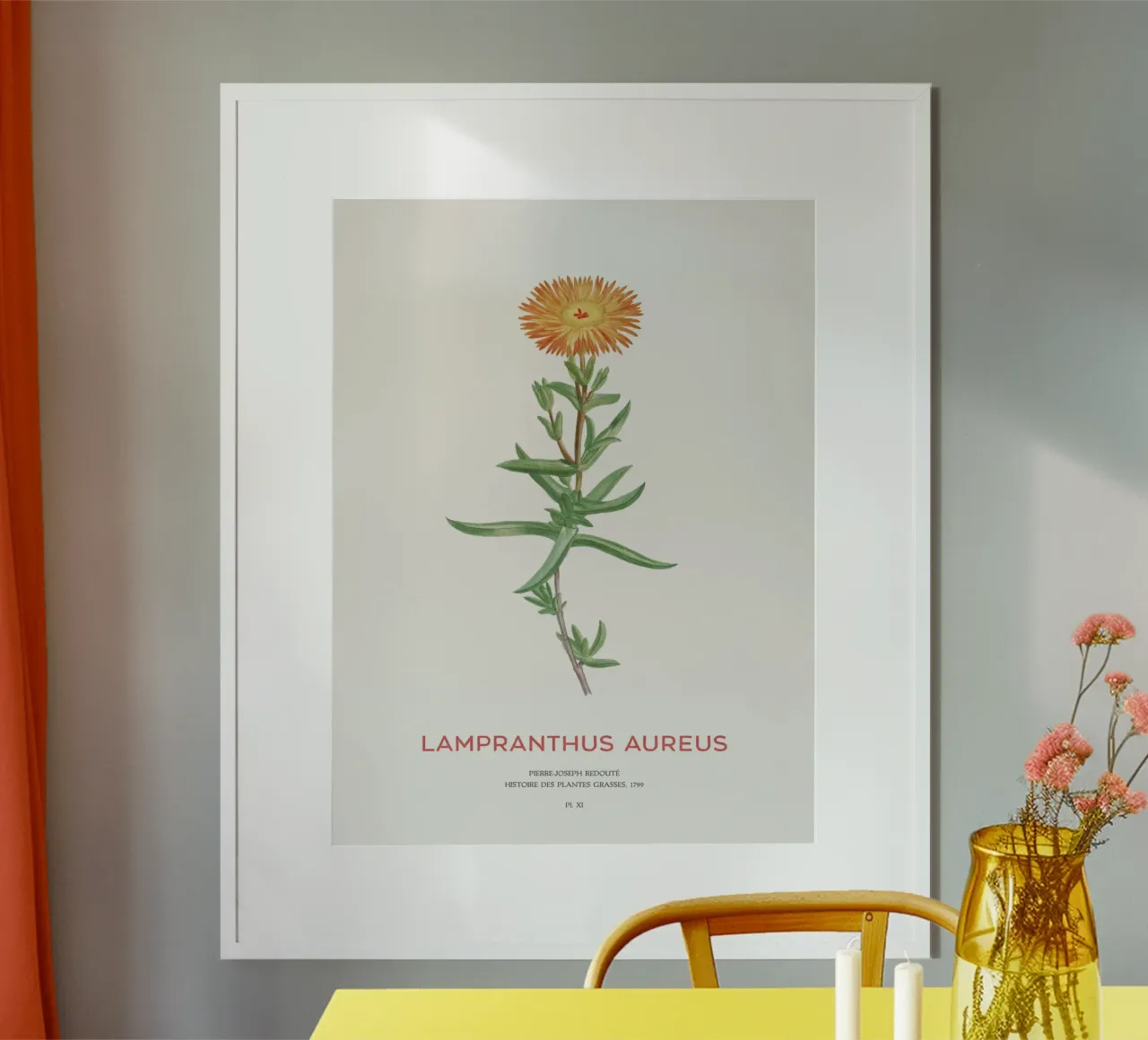 Lampranthus aureus piante grasse carta hahnemühle da Vintagrafica