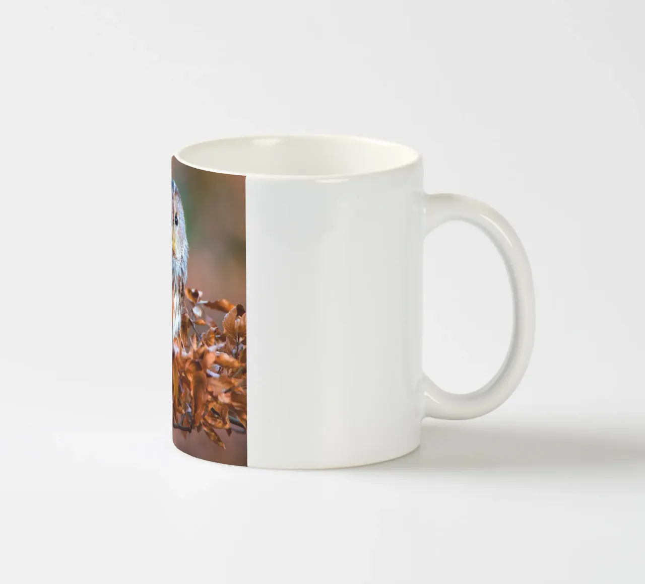 Piccolo gufo tazza in ceramica da Dave Hare Photography