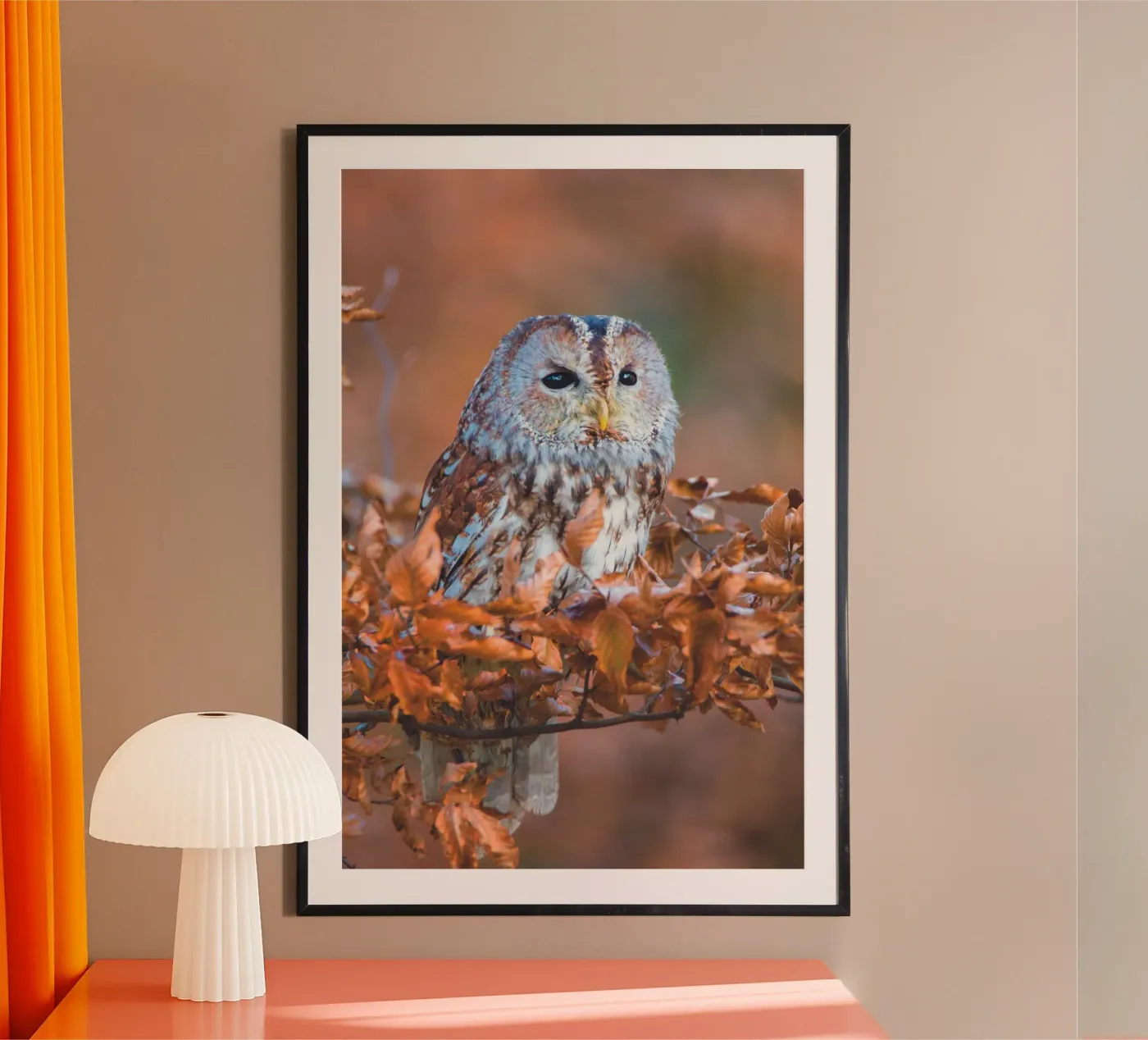 Steenuil poster van Dave Hare Photography