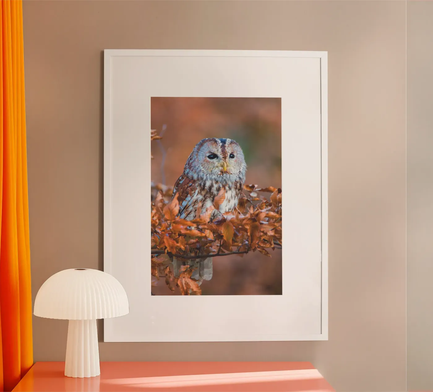 Steenuil poster van Dave Hare Photography