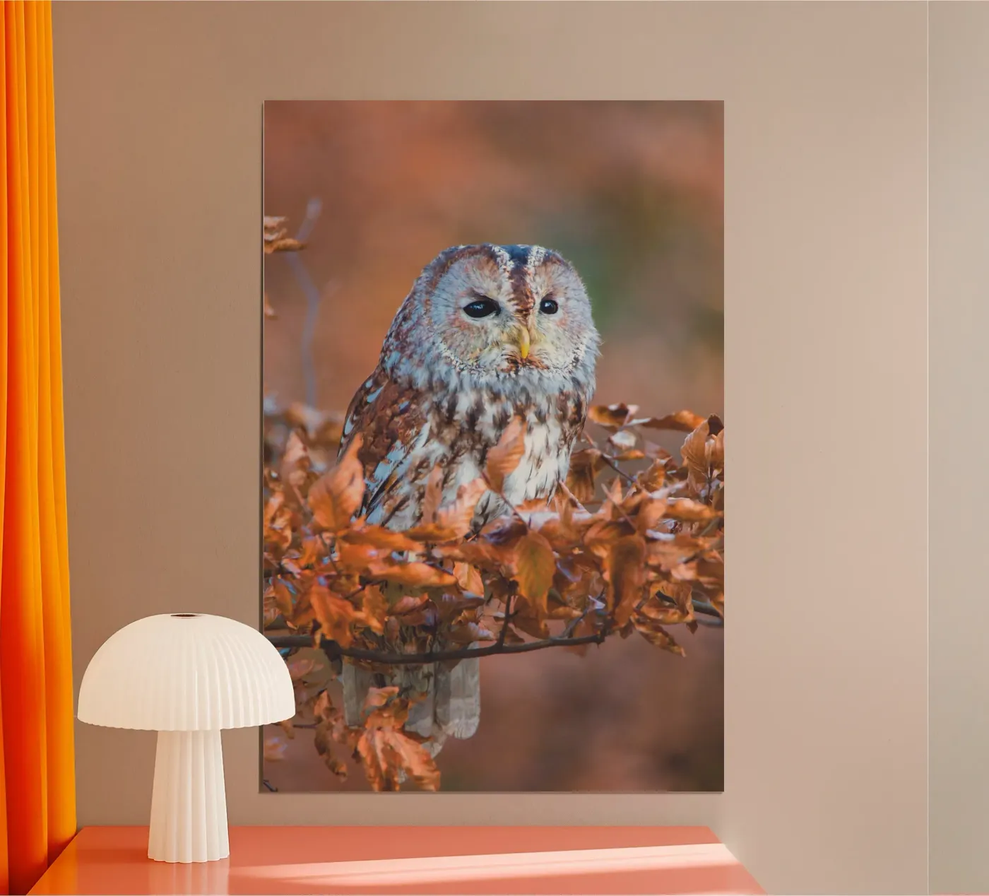 Steenuil poster van Dave Hare Photography