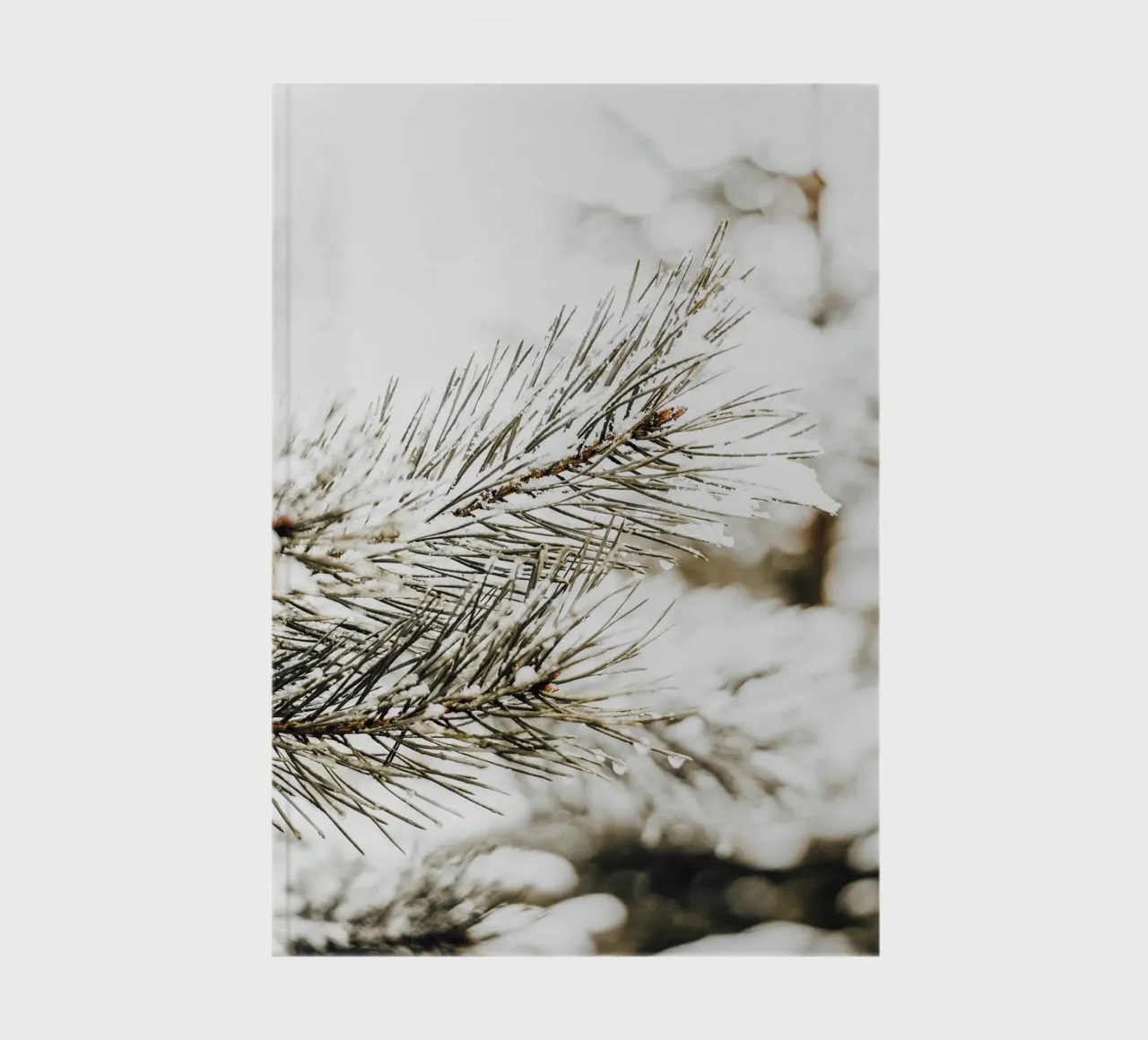 Snowy Fir Branch - Winter Botanical Art Print notebook by Whole©