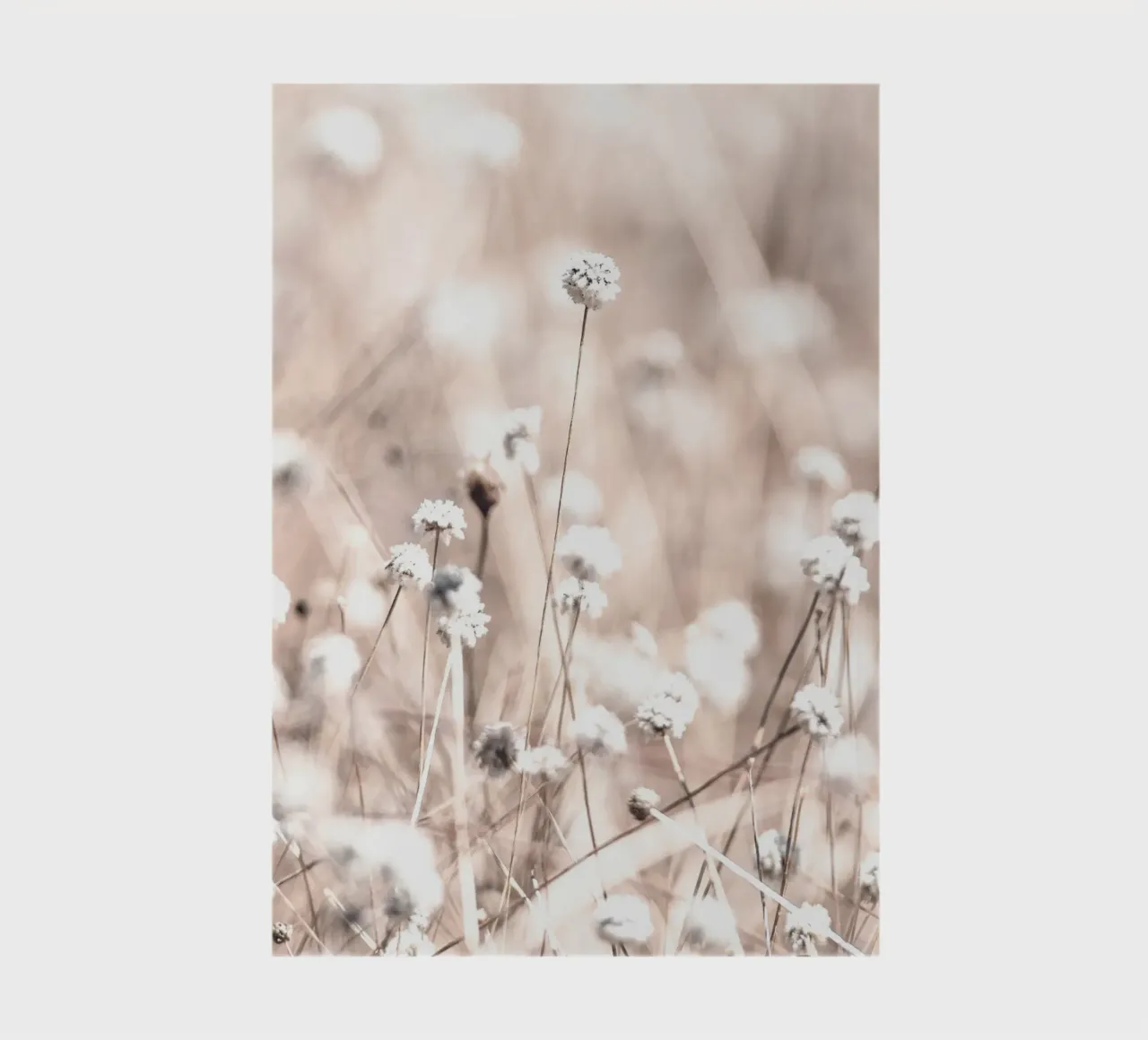 Titre : Fleurs de prairie délicates - motif naturel minimaliste carnet de notes de Whole©