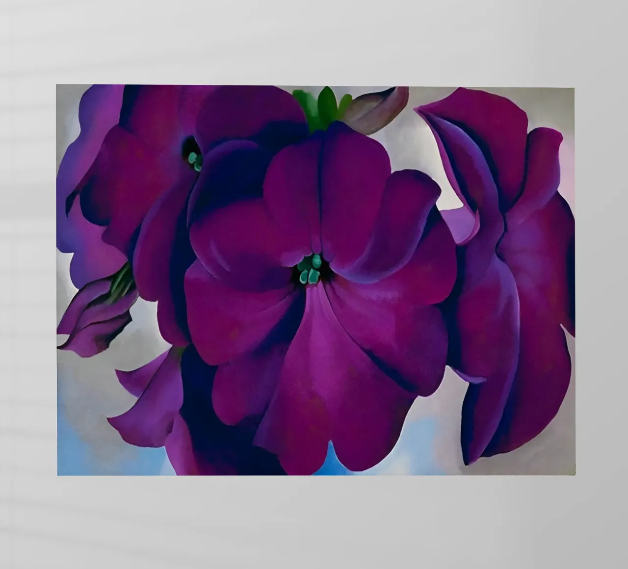 Georgia O'Keeffe - petunia pellicola backlit da Kinsley
