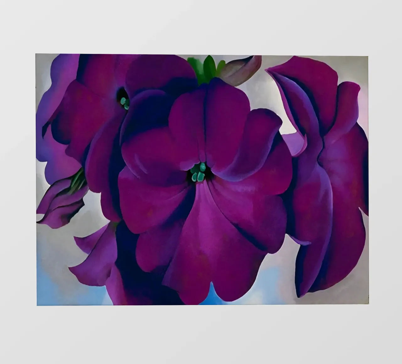 Georgia O'Keeffe - petunia pellicola backlit da Kinsley