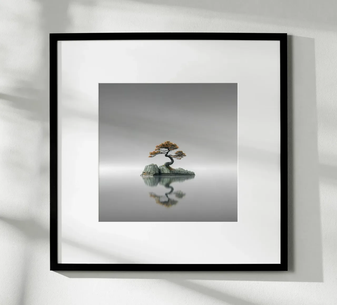 Echi - Bonsai carta hahnemühle da Håggard Photography | Ronny Behnert