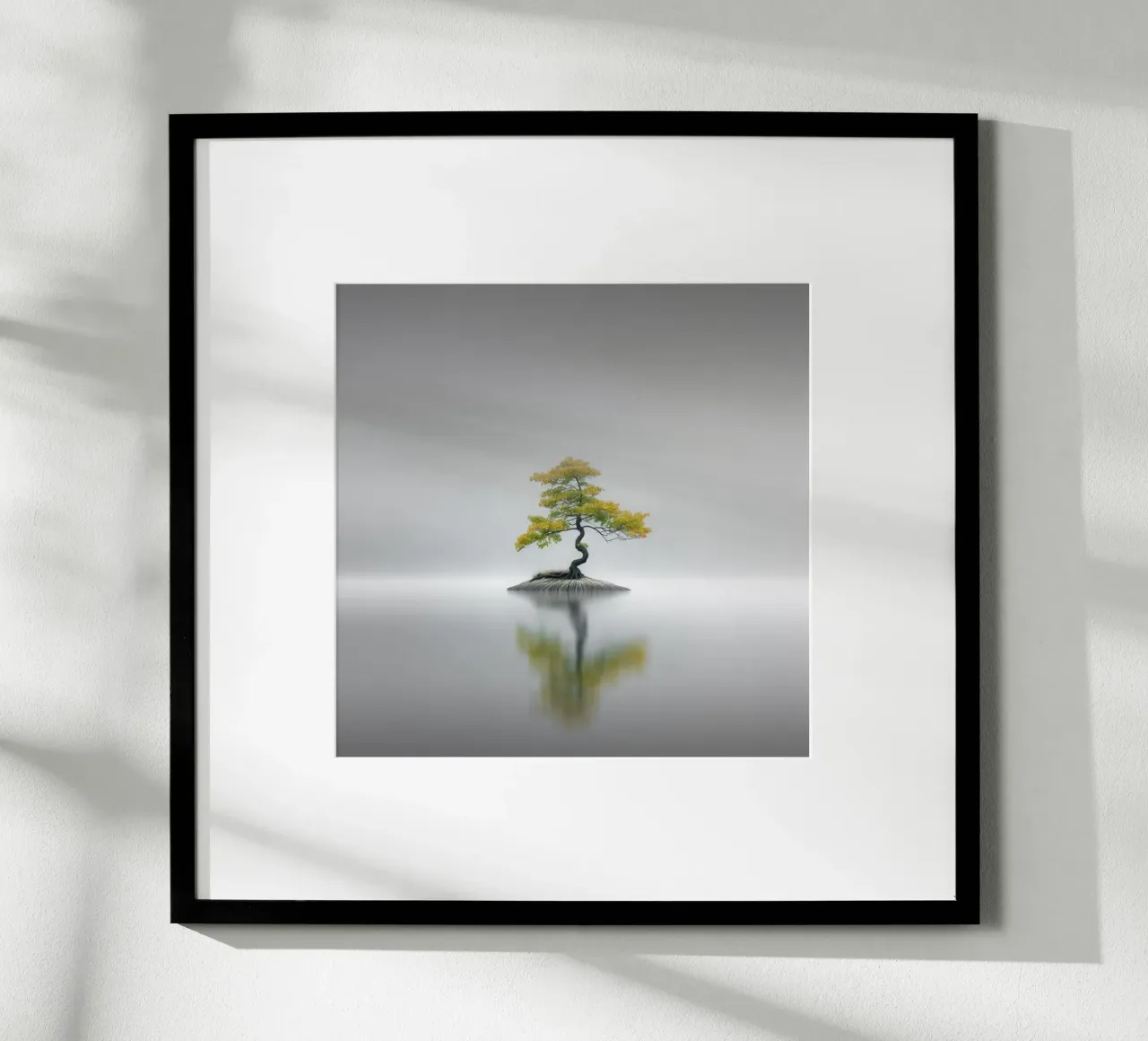 Echi - Bonsai II poster da Håggard Photography | Ronny Behnert