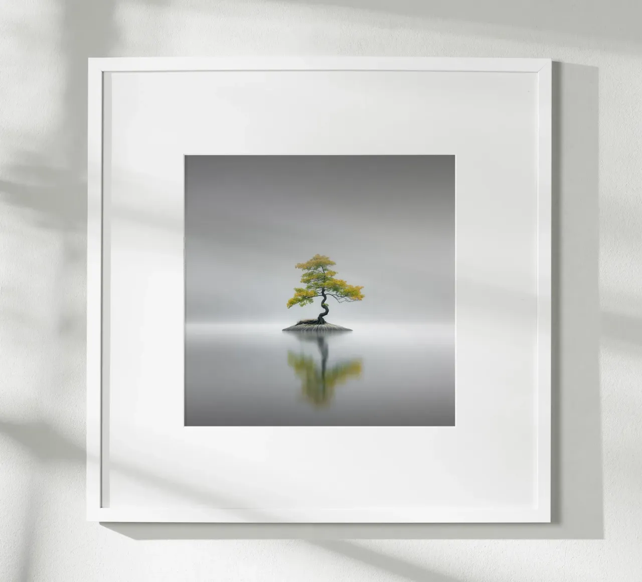 Echi - Bonsai II poster da Håggard Photography | Ronny Behnert