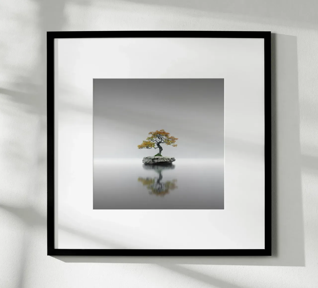Echi - Bonsai III carta hahnemühle da Håggard Photography | Ronny Behnert
