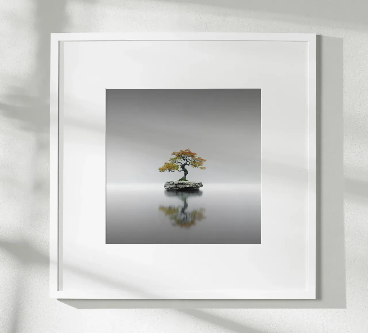 Echi - Bonsai III carta hahnemühle da Håggard Photography | Ronny Behnert