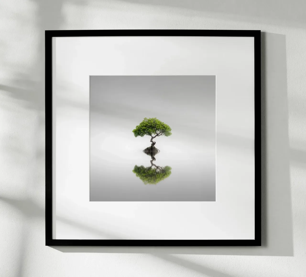 Echi - Mangrovie II poster da Håggard Photography | Ronny Behnert