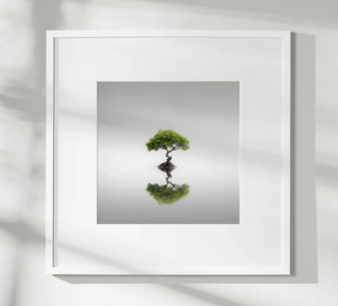 Echi - Mangrovie II poster da Håggard Photography | Ronny Behnert