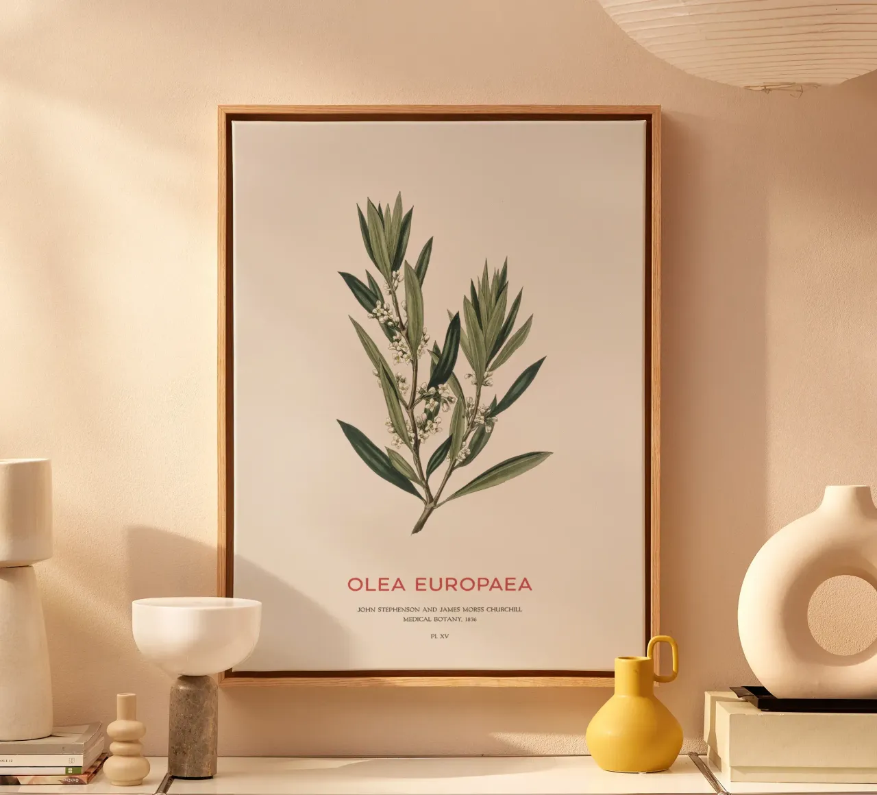 Olijf of Olea Europaea canvas met Baklijst van Vintagrafica