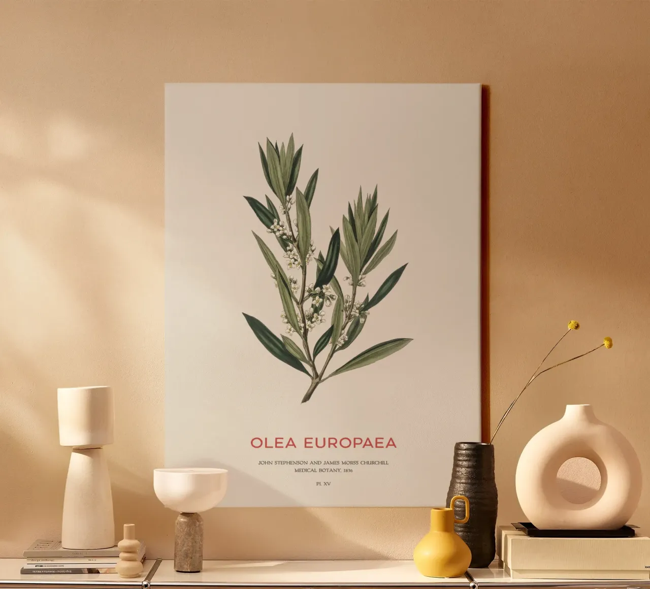 Olijf of Olea Europaea canvas met Baklijst van Vintagrafica
