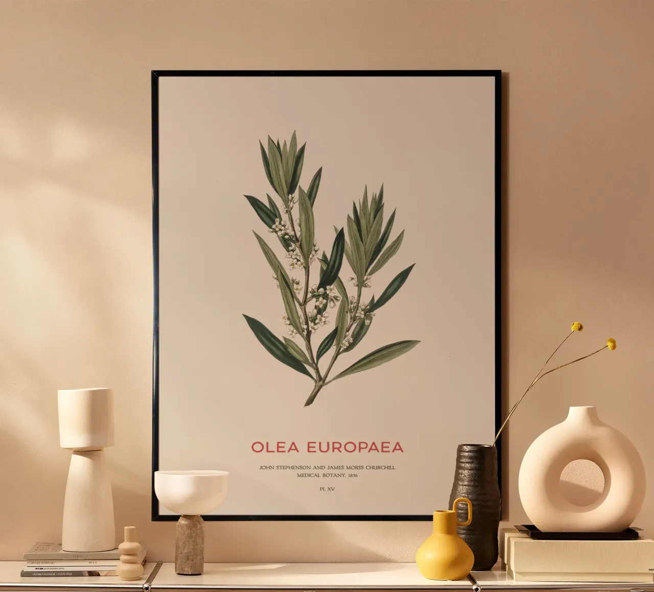 Olivo o Olea Europaea poster con telaio in alluminio da Vintagrafica