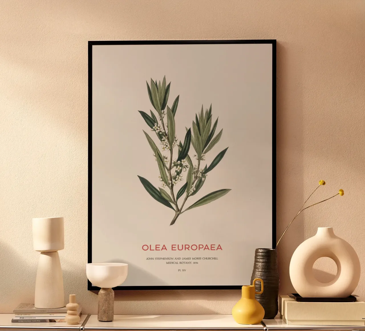 Olivo o Olea Europaea poster con telaio in alluminio da Vintagrafica
