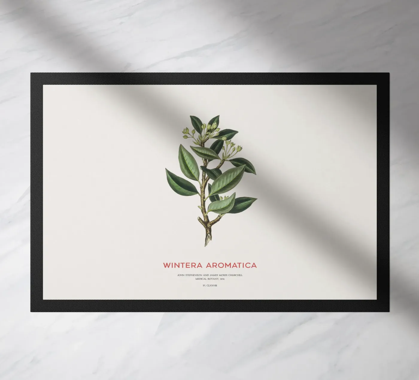 Canelo or Wintera Aromatica Fußmatte von Vintagrafica