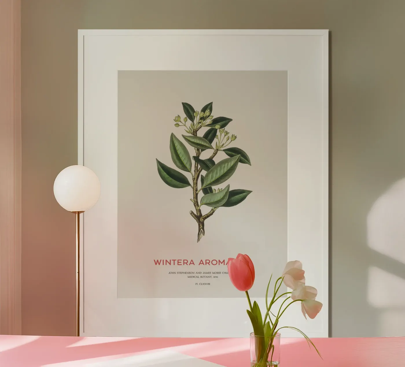 Canelo oder Wintera Aromatica Poster von Vintagrafica