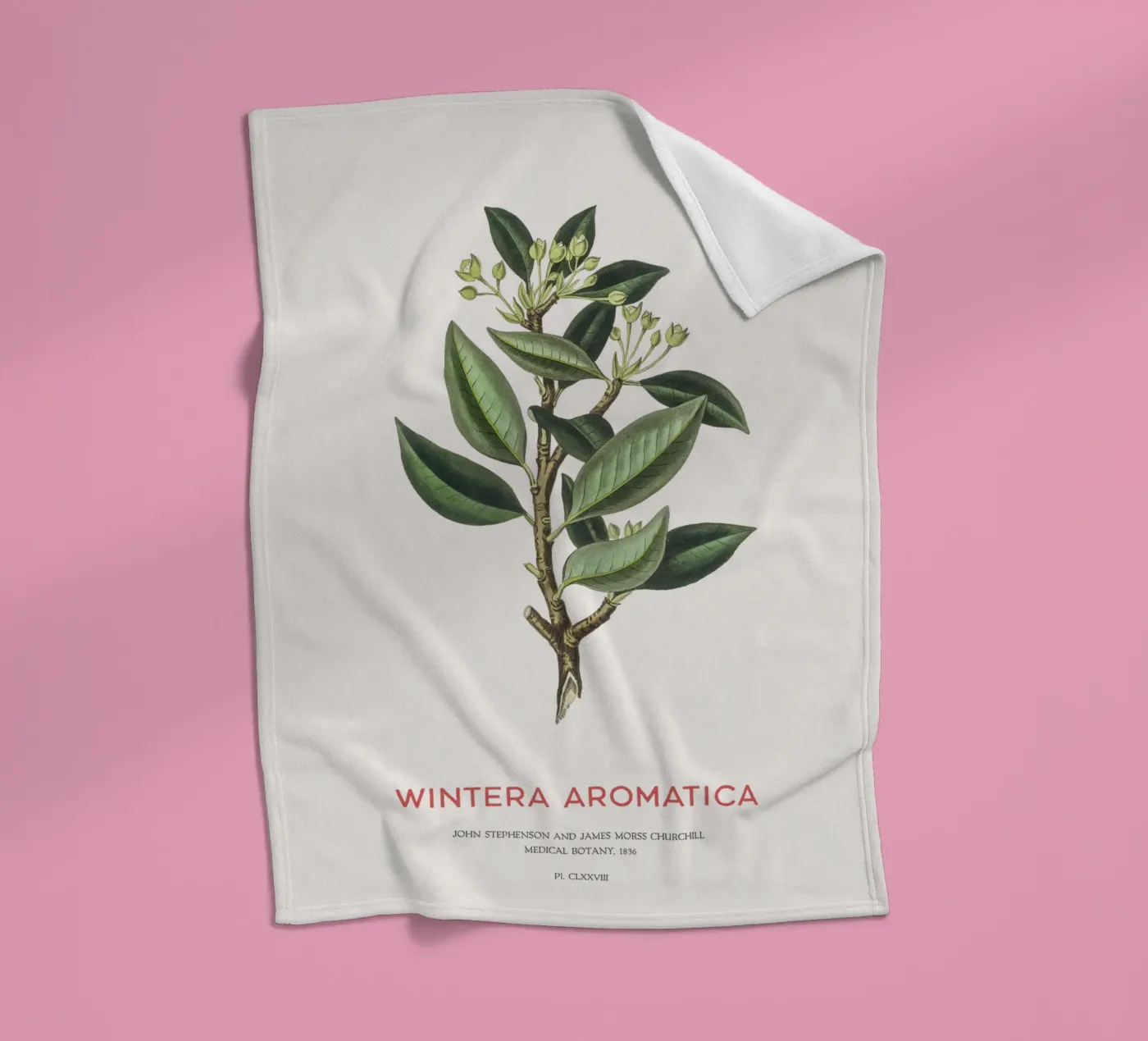 Canelo or Wintera Aromatica Fleecedecke von Vintagrafica