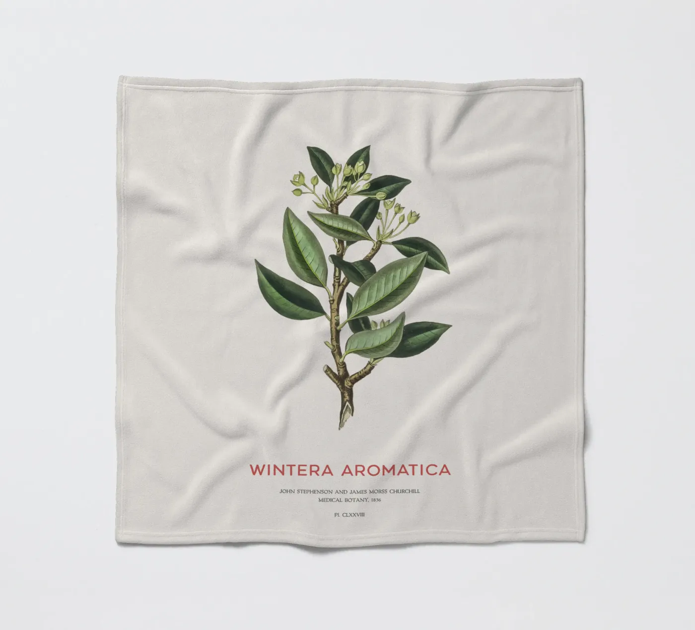Canelo or Wintera Aromatica Fleecedecke von Vintagrafica