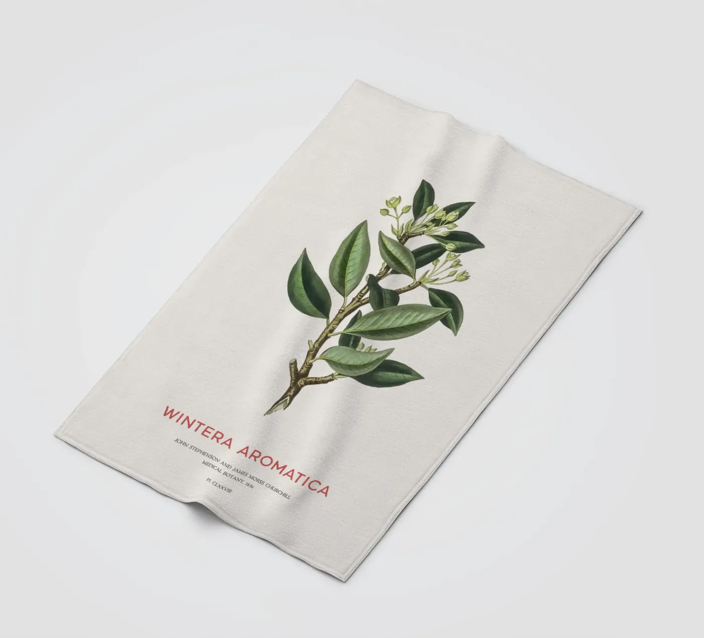 Canelo or Wintera Aromatica Fleecedecke von Vintagrafica