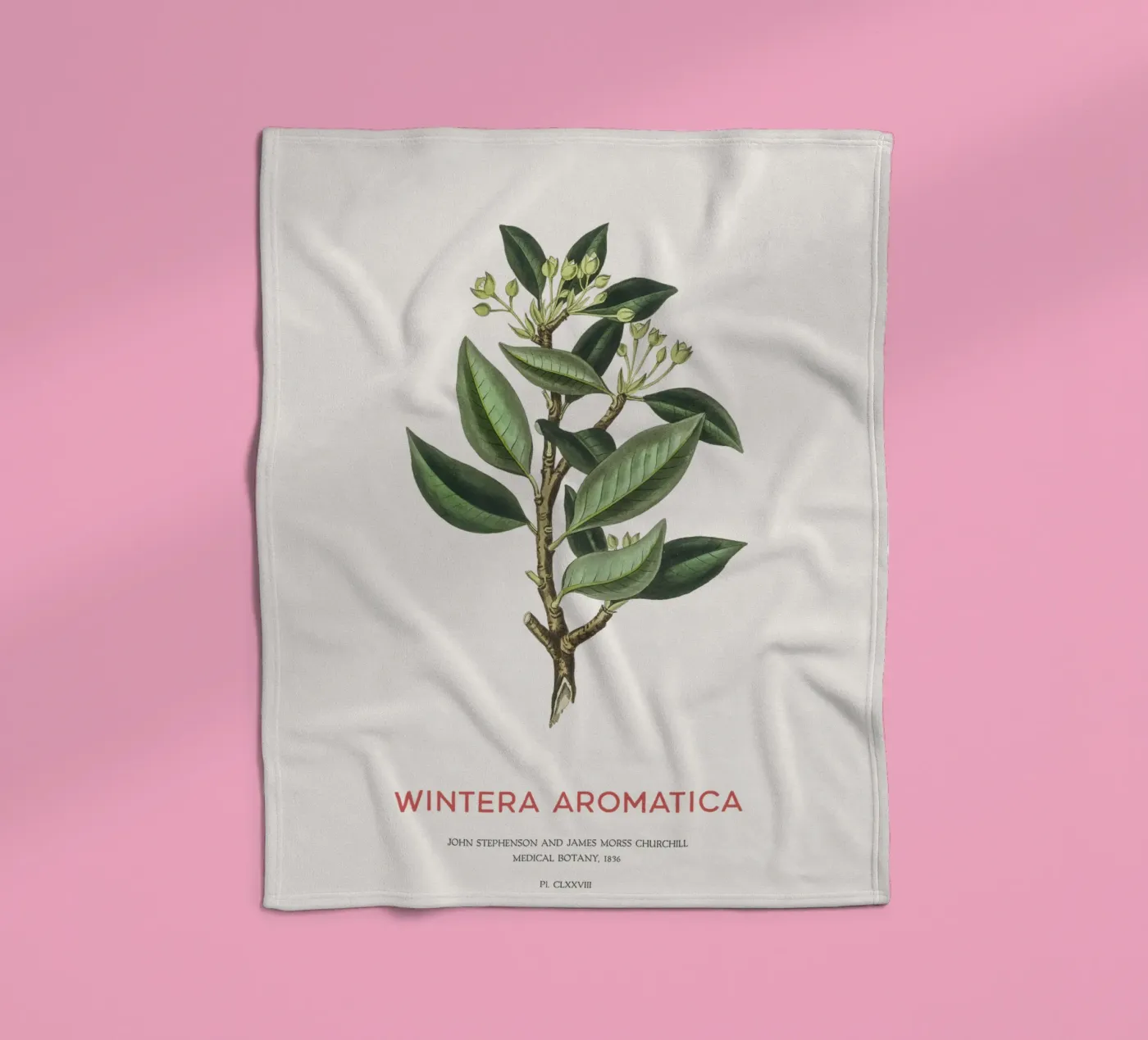 Canelo or Wintera Aromatica Fleecedecke von Vintagrafica