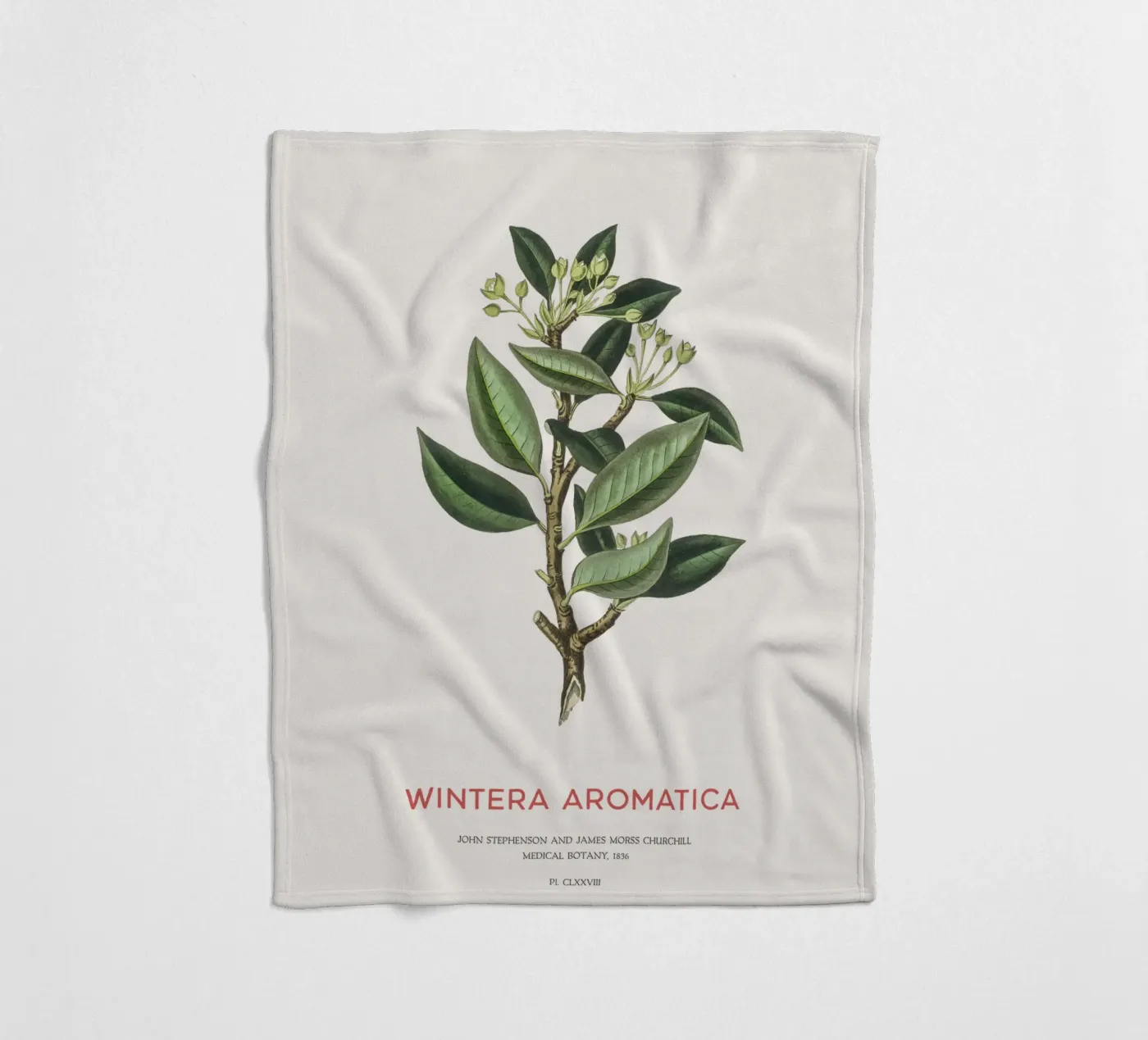 Canelo or Wintera Aromatica Fleecedecke von Vintagrafica