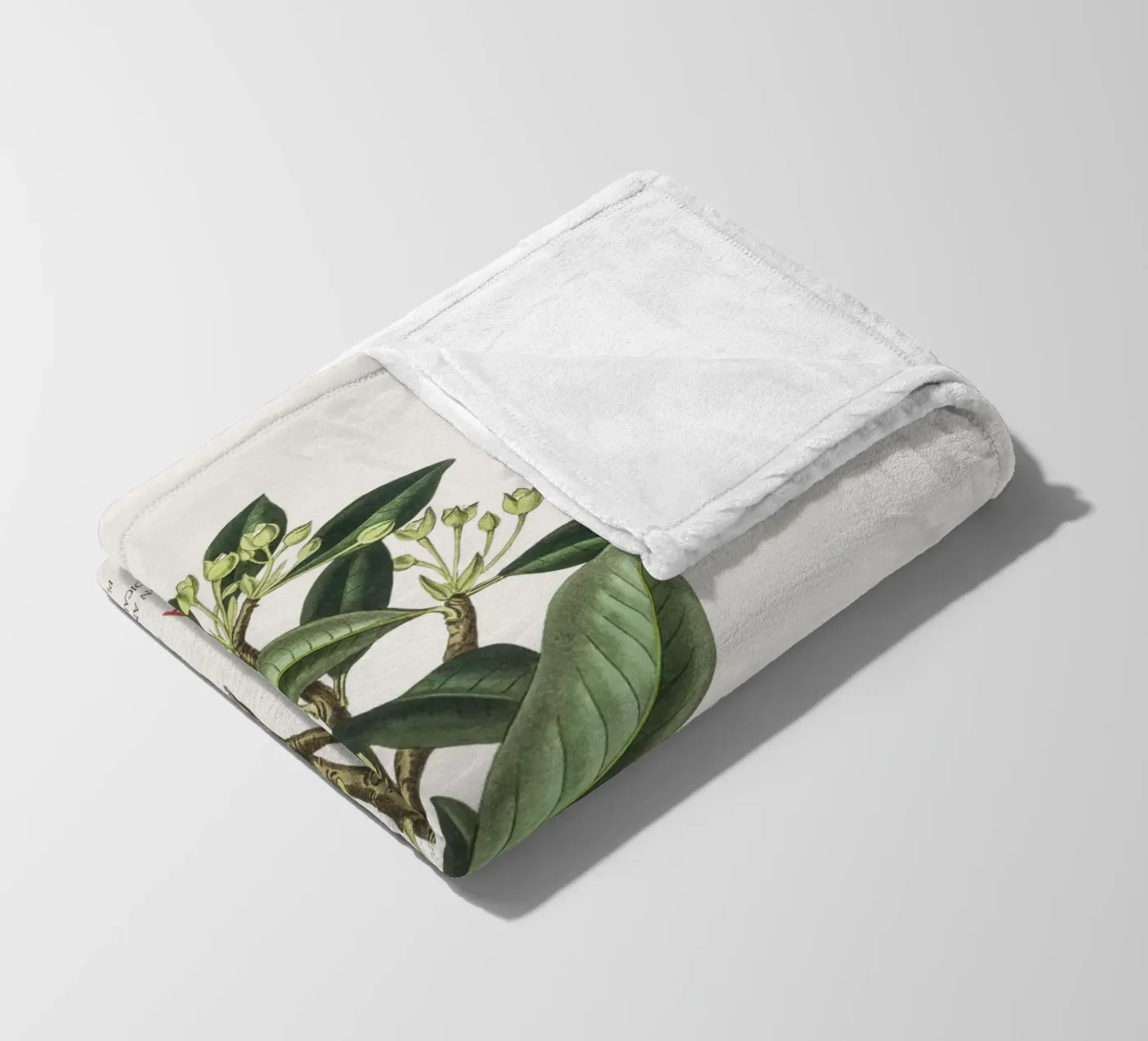 Canelo or Wintera Aromatica Fleecedecke von Vintagrafica