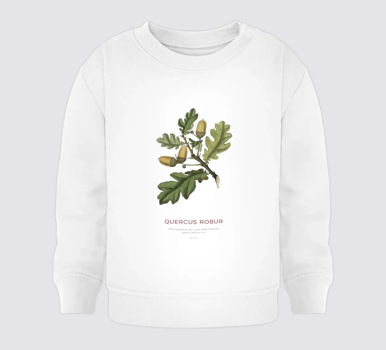 Quercia inglese o Quercus Robur felpa neonato da Vintagrafica