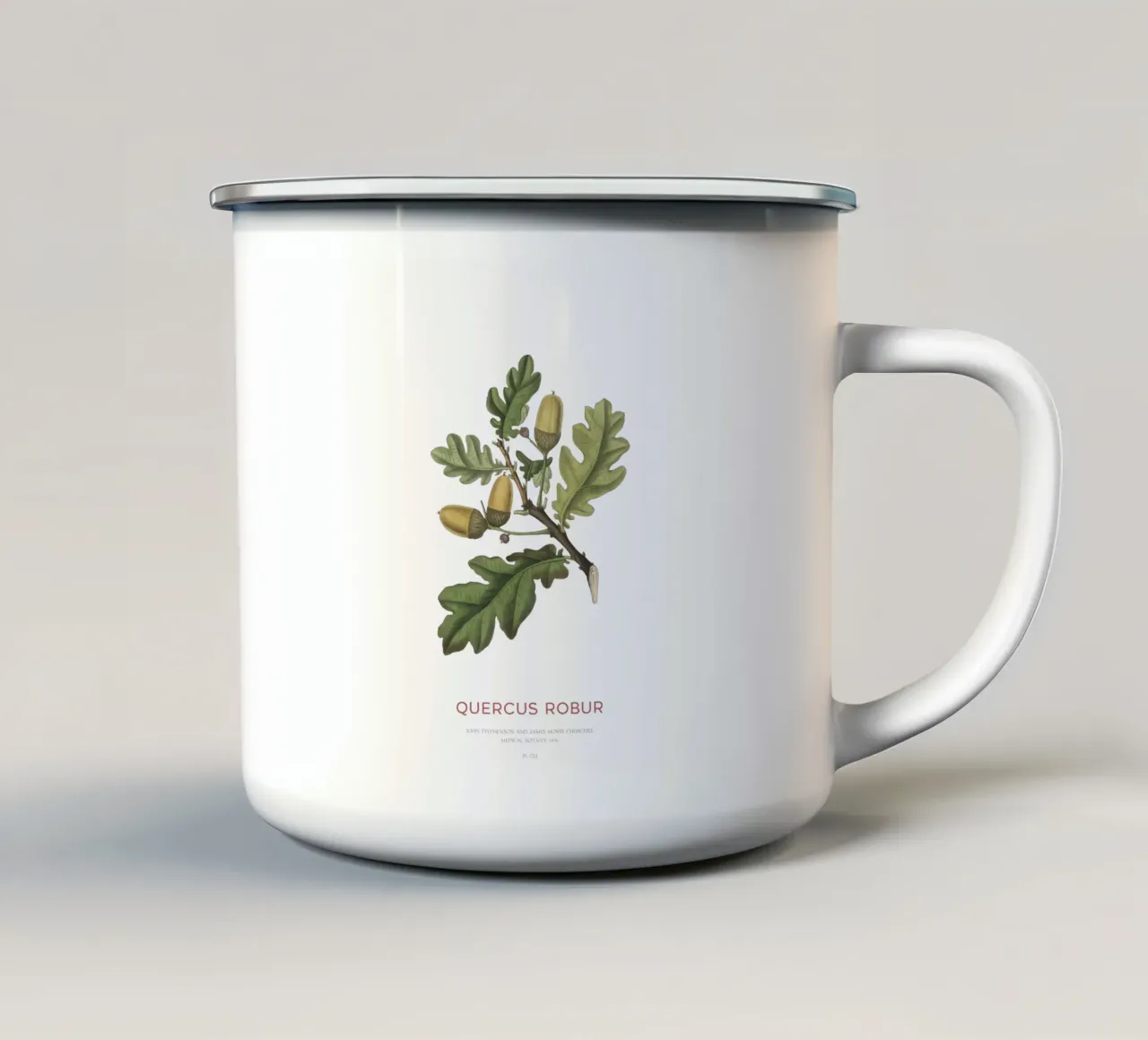 Quercia inglese o Quercus Robur tazza in smalto da Vintagrafica