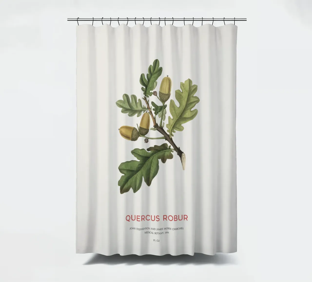 Stieleiche oder Quercus Robur Duschvorhang von Vintagrafica