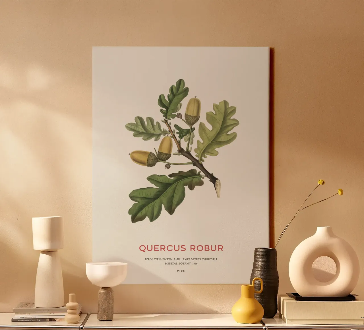 Quercia inglese o Quercus Robur tela con Cornice a cassetta da Vintagrafica