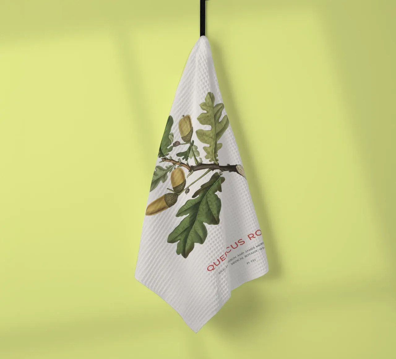 Quercia inglese o Quercus Robur canovaccio da cucina da Vintagrafica
