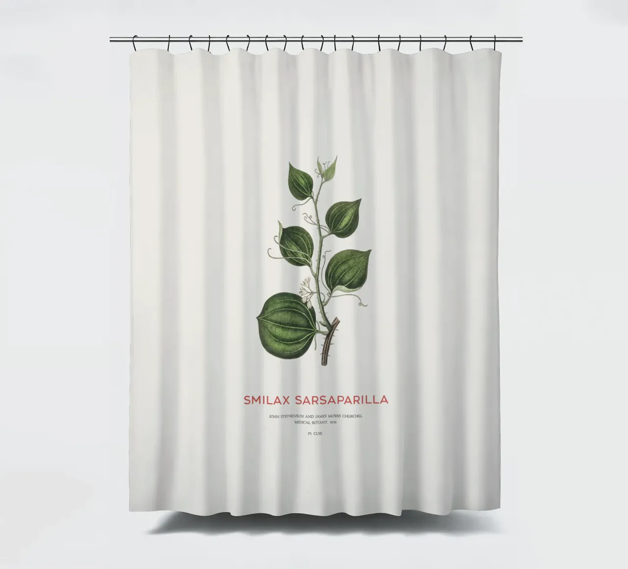 Katzenschwanz oder Smilax Sarsaparilla Duschvorhang von Vintagrafica