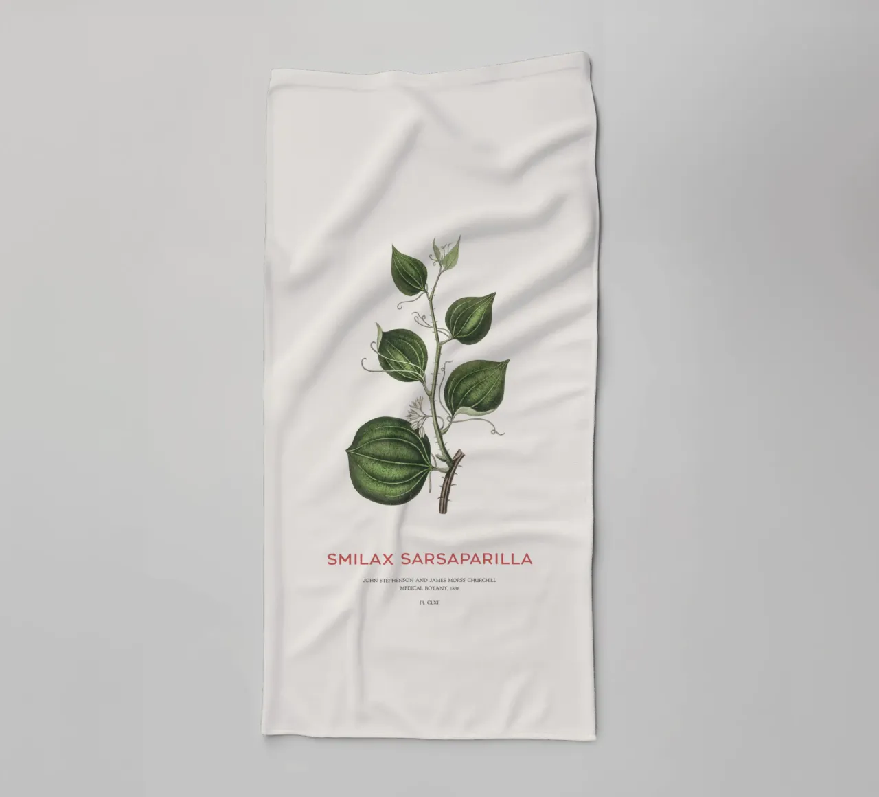 Katzenschwanz oder Smilax Sarsaparilla Handtuch von Vintagrafica