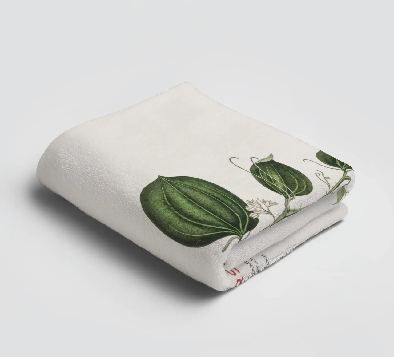 Katzenschwanz oder Smilax Sarsaparilla Handtuch von Vintagrafica