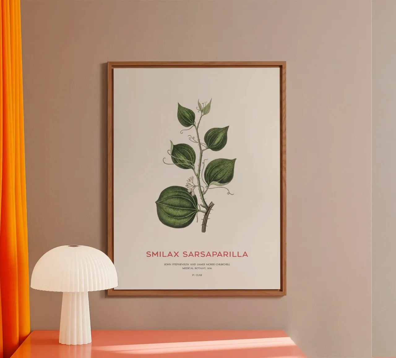 Sarsapariglia di gatto o Smilax alluminio dibond da Vintagrafica