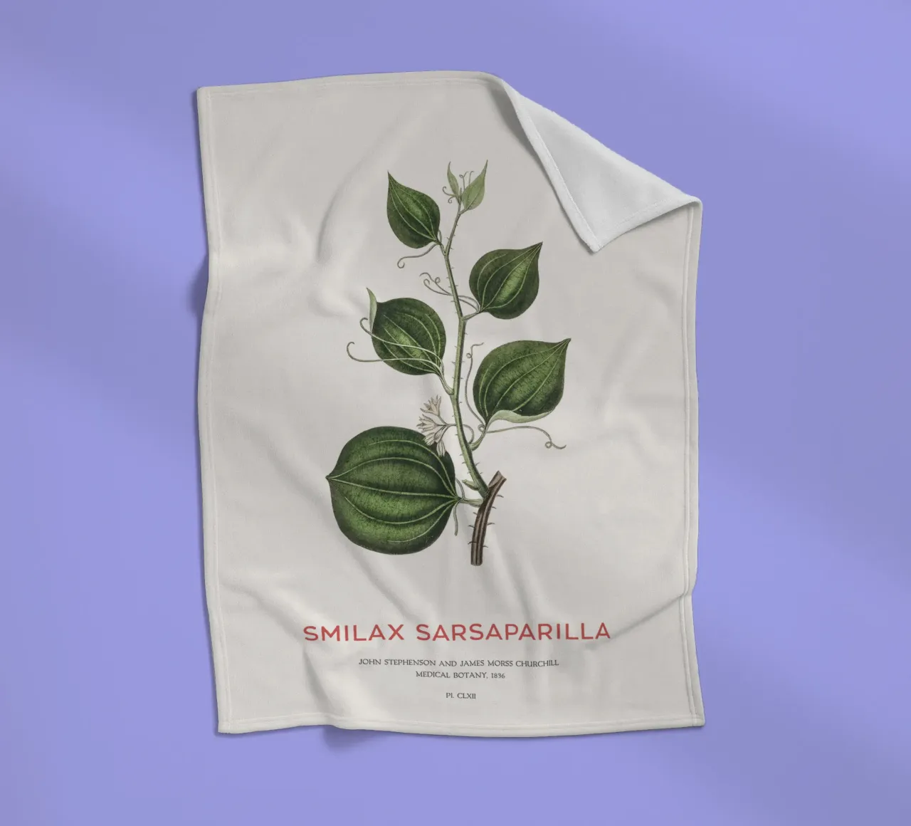 Sarsapariglia di gatto o Smilax coperta in pile da Vintagrafica