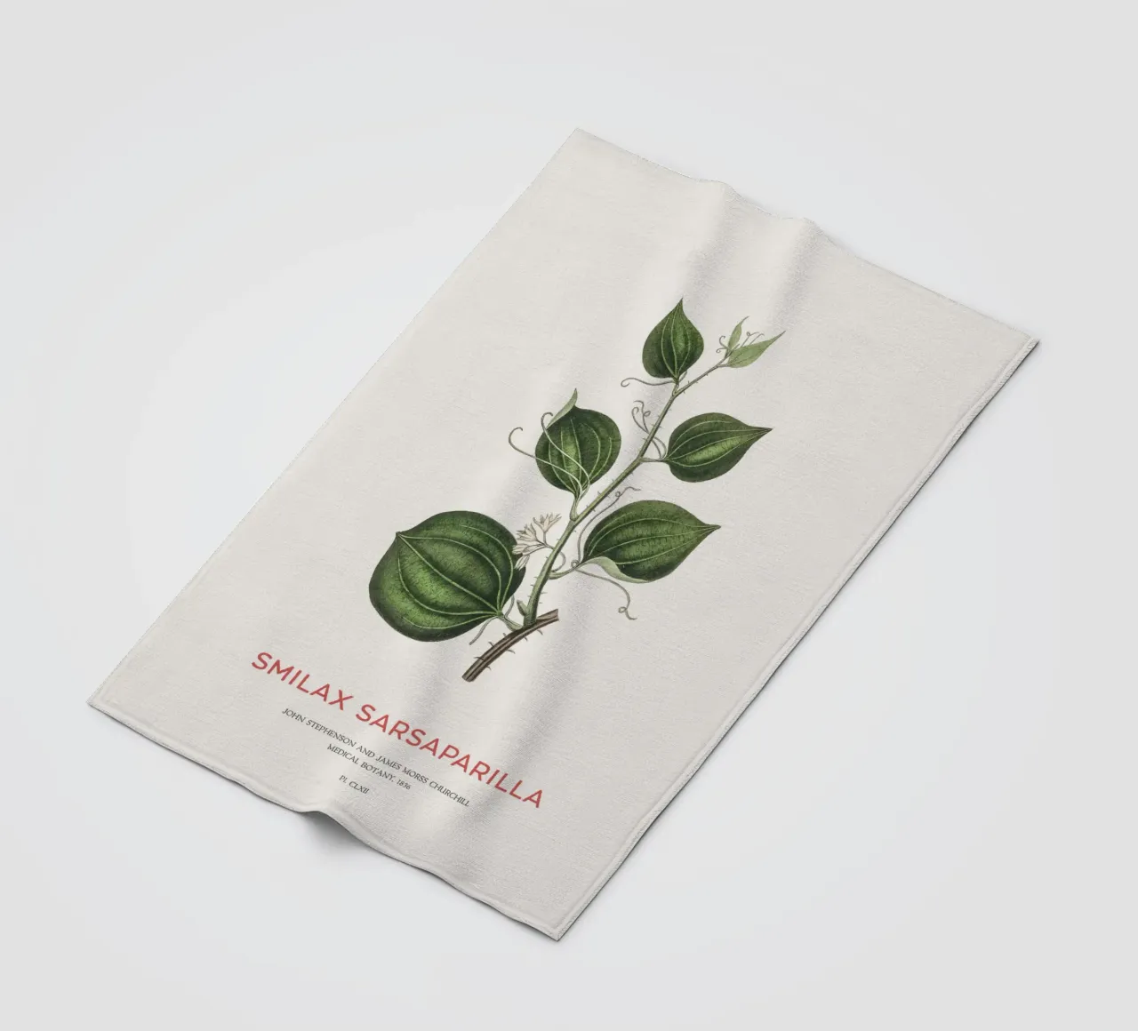 Sarsapariglia di gatto o Smilax coperta in pile da Vintagrafica
